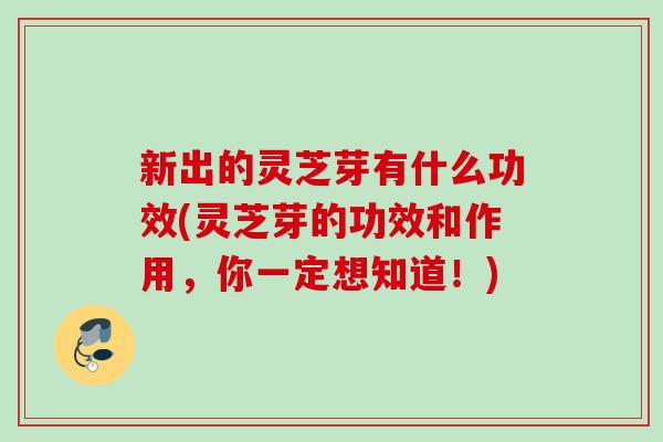 新出的灵芝芽有什么功效(灵芝芽的功效和作用，你一定想知道！)