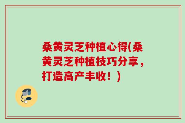桑黄灵芝种植心得(桑黄灵芝种植技巧分享，打造高产丰收！)