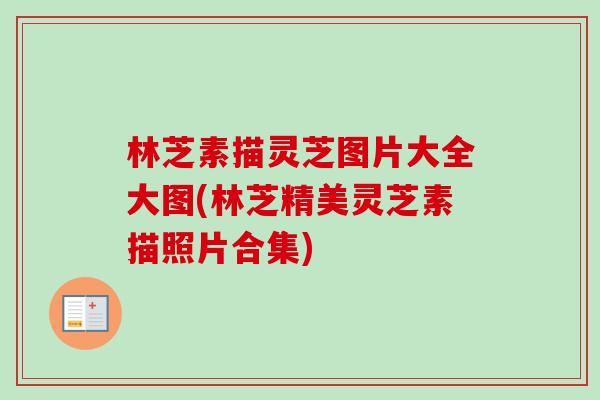 林芝素描灵芝图片大全大图(林芝精美灵芝素描照片合集)