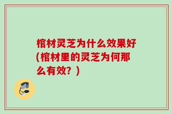 棺材灵芝为什么效果好(棺材里的灵芝为何那么有效？)