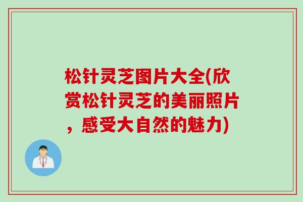 松针灵芝图片大全(欣赏松针灵芝的美丽照片，感受大自然的魅力)