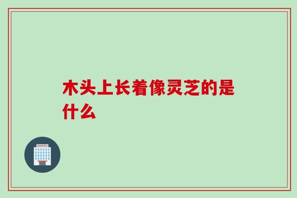 木头上长着像灵芝的是什么