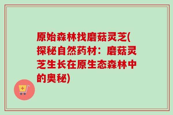 原始森林找磨菇灵芝(探秘自然药材：磨菇灵芝生长在原生态森林中的奥秘)