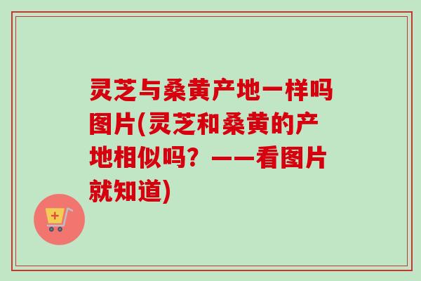 灵芝与桑黄产地一样吗图片(灵芝和桑黄的产地相似吗？——看图片就知道)