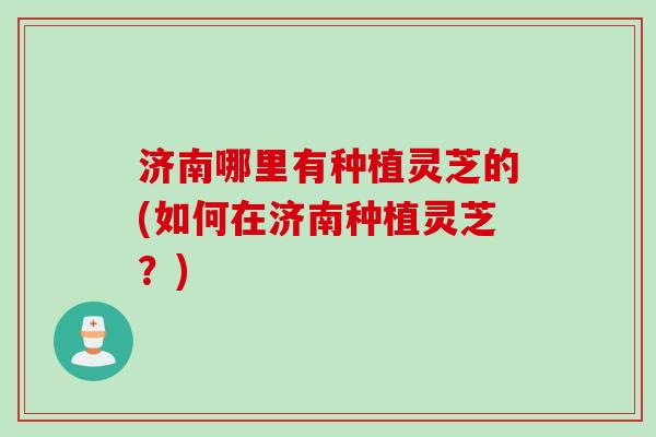 济南哪里有种植灵芝的(如何在济南种植灵芝?) 济南哪里有种植灵芝的(如何在济南种植灵芝?)