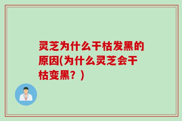 灵芝为什么干枯发黑的原因(为什么灵芝会干枯变黑？)