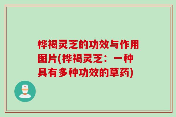 桦褐灵芝的功效与作用图片(桦褐灵芝：一种具有多种功效的草药)