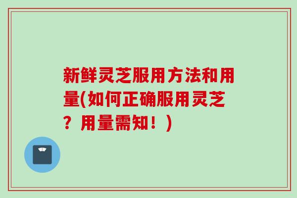 新鲜灵芝服用方法和用量(如何正确服用灵芝？用量需知！)