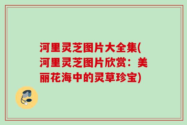 河里灵芝图片大全集(河里灵芝图片欣赏：美丽花海中的灵草珍宝)