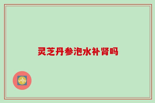 灵芝丹参泡水补肾吗