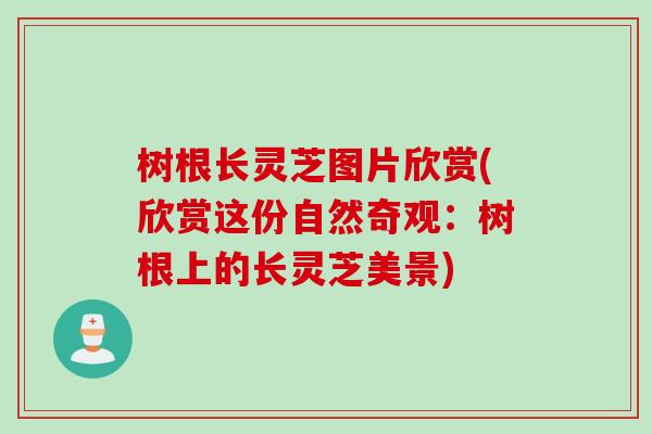 树根长灵芝图片欣赏(欣赏这份自然奇观:树根上的长灵芝美景) 树根长灵芝图片欣赏(欣赏这份自然奇观:树根上的长灵芝美景)
