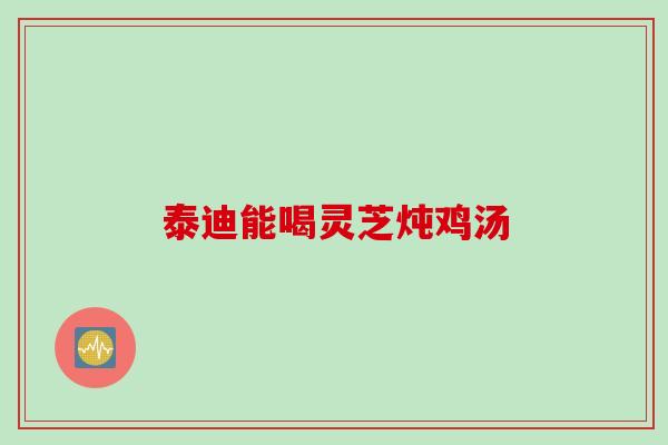 泰迪能喝灵芝炖鸡汤