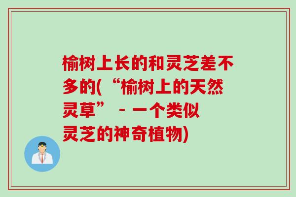 榆树上长的和灵芝差不多的(“榆树上的天然灵草” - 一个类似灵芝的神奇植物)