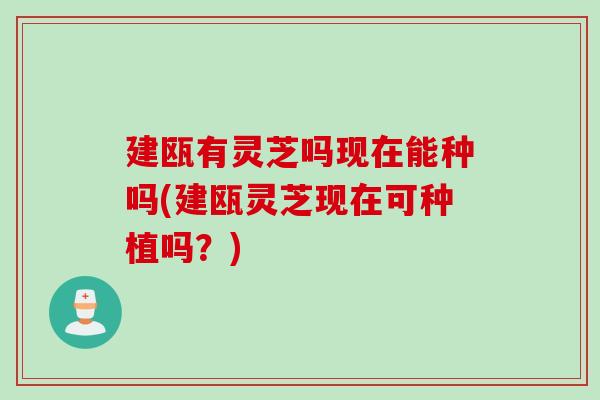 建瓯有灵芝吗现在能种吗(建瓯灵芝现在可种植吗？)