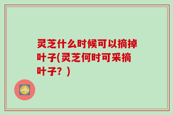 灵芝什么时候可以摘掉叶子(灵芝何时可采摘叶子？)