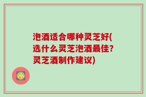 泡酒适合哪种灵芝好(选什么灵芝泡酒最佳？灵芝酒制作建议)