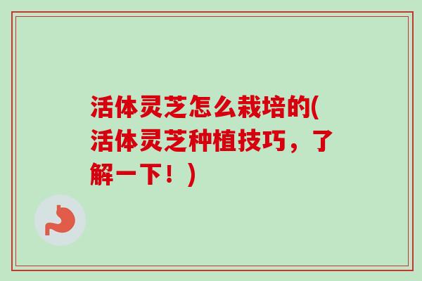 活体灵芝怎么栽培的(活体灵芝种植技巧，了解一下！)
