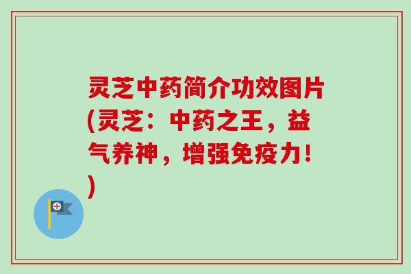 灵芝中药简介功效图片(灵芝：中药之王，益气养神，增强免疫力！)