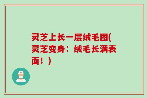 灵芝上长一层绒毛图(灵芝变身：绒毛长满表面！)