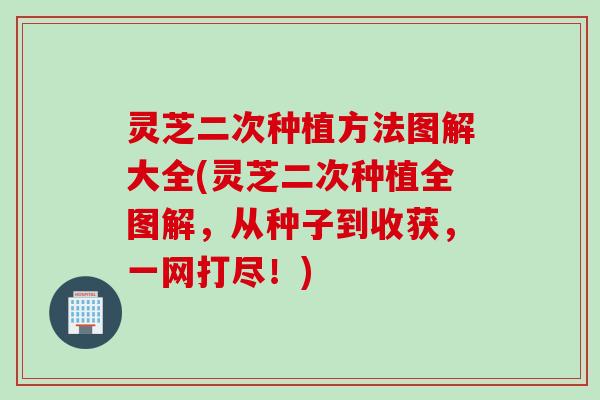 灵芝二次种植方法图解大全(灵芝二次种植全图解,从种子到收获,一网打尽!) 灵芝二次种植方法图解大全(灵芝二次种植全图解,从种子到收获,一网打尽!)
