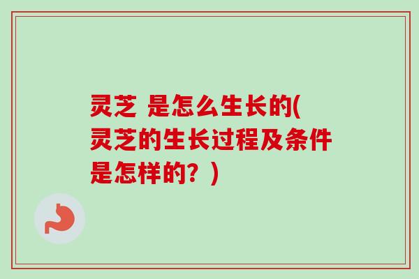 灵芝 是怎么生长的(灵芝的生长过程及条件是怎样的？)
