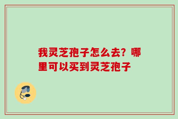 我灵芝孢子怎么去？哪里可以买到灵芝孢子