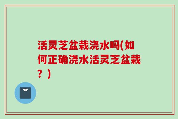 活灵芝盆栽浇水吗(如何正确浇水活灵芝盆栽?) 活灵芝盆栽浇水吗(如何正确浇水活灵芝盆栽?)