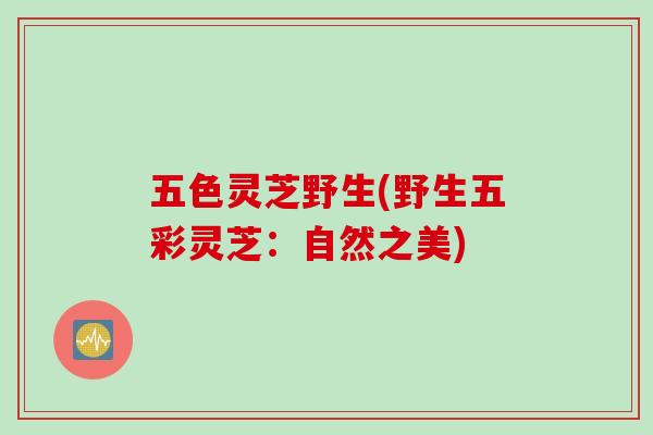 五色灵芝野生(野生五彩灵芝：自然之美)