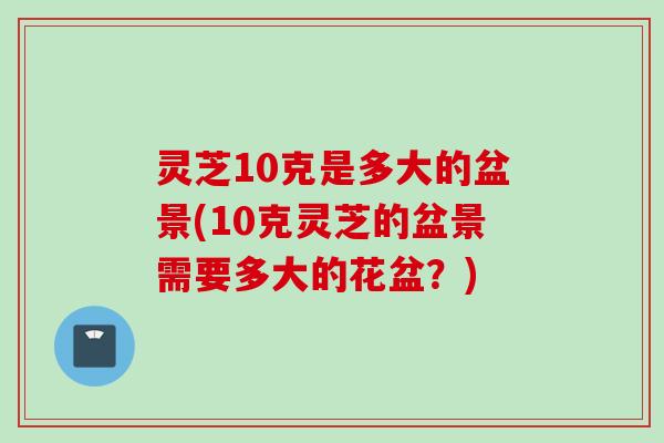 灵芝10克是多大的盆景(10克灵芝的盆景需要多大的花盆？)