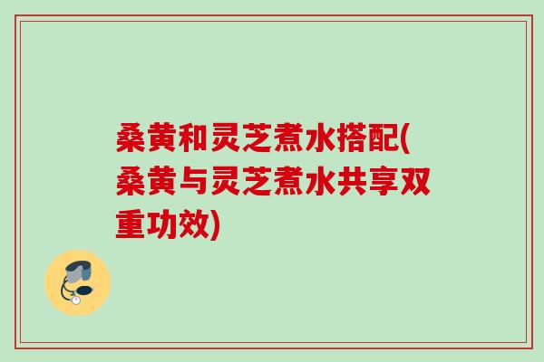 桑黄和灵芝煮水搭配(桑黄与灵芝煮水共享双重功效) 桑黄和灵芝煮水搭配(桑黄与灵芝煮水共享双重功效)