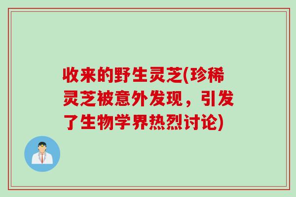 收来的野生灵芝(珍稀灵芝被意外发现，引发了生物学界热烈讨论)