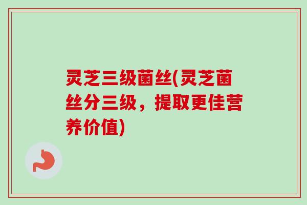 灵芝三级菌丝(灵芝菌丝分三级，提取更佳营养价值)