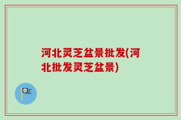 河北灵芝盆景批发(河北批发灵芝盆景)