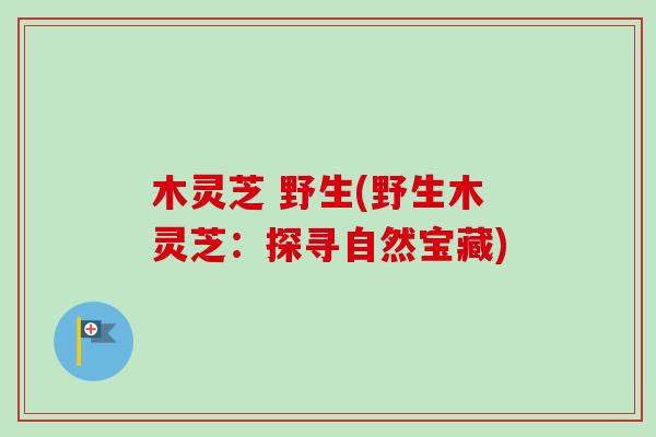 木灵芝 野生(野生木灵芝：探寻自然宝藏)