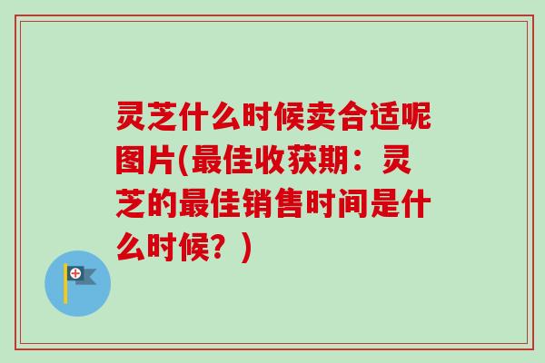 灵芝什么时候卖合适呢图片(最佳收获期：灵芝的最佳销售时间是什么时候？)