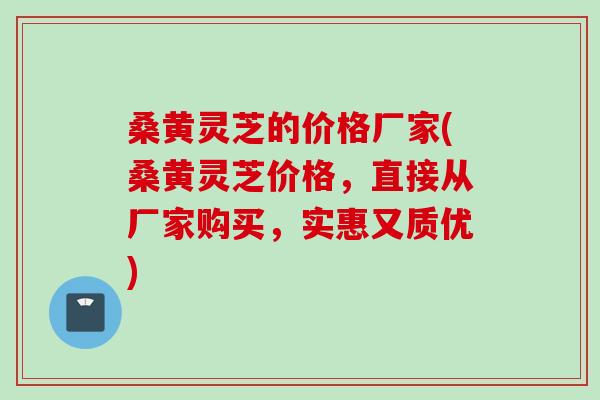 桑黄灵芝的价格厂家(桑黄灵芝价格，直接从厂家购买，实惠又质优)