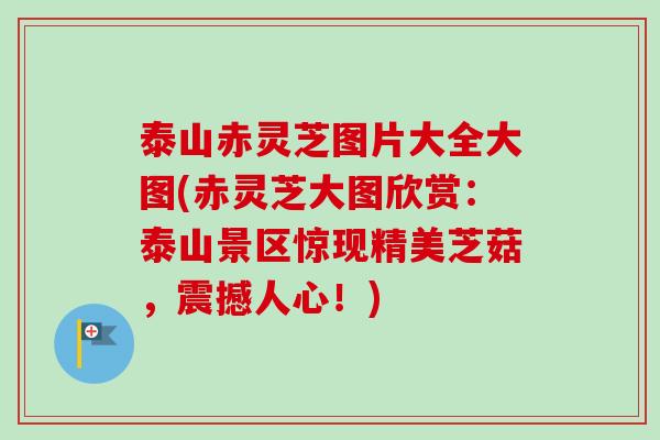 泰山赤灵芝图片大全大图(赤灵芝大图欣赏：泰山景区惊现精美芝菇，震撼人心！)