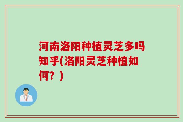 河南洛阳种植灵芝多吗知乎(洛阳灵芝种植如何？)