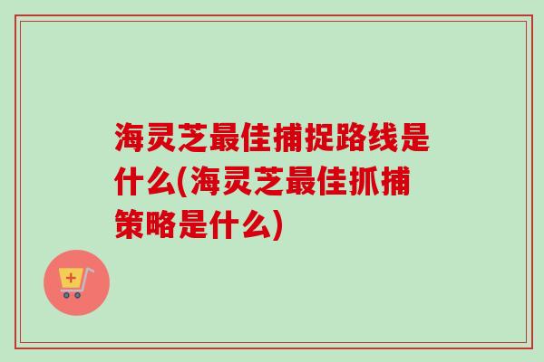海灵芝最佳捕捉路线是什么(海灵芝最佳抓捕策略是什么)