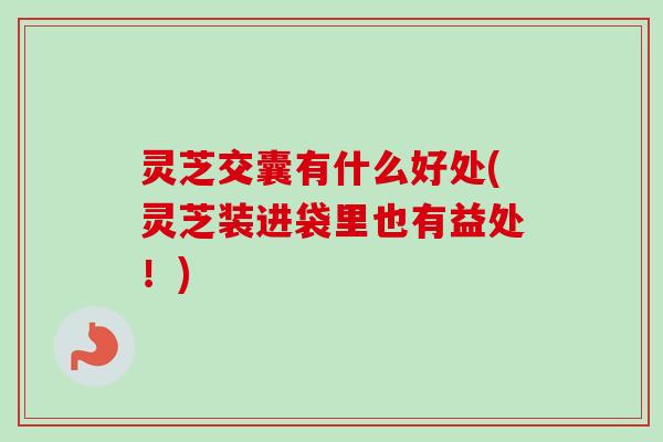 灵芝交囊有什么好处(灵芝装进袋里也有益处！)