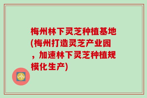 梅州林下灵芝种植基地(梅州打造灵芝产业园，加速林下灵芝种植规模化生产)