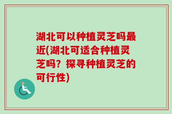 湖北可以种植灵芝吗近(湖北可适合种植灵芝吗？探寻种植灵芝的可行性)
