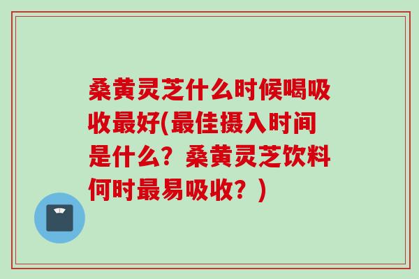 桑黄灵芝什么时候喝吸收最好(最佳摄入时间是什么？桑黄灵芝饮料何时最易吸收？)