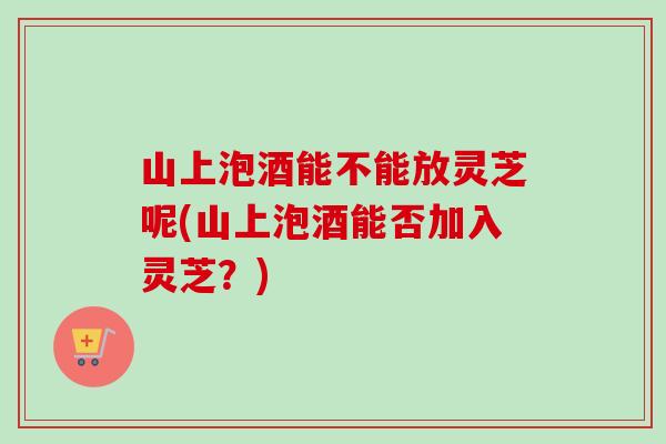 山上泡酒能不能放灵芝呢(山上泡酒能否加入灵芝？)