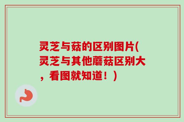 灵芝与菇的区别图片(灵芝与其他蘑菇区别大,看图就知道!) 灵芝与菇的区别图片(灵芝与其他蘑菇区别大,看图就知道!)