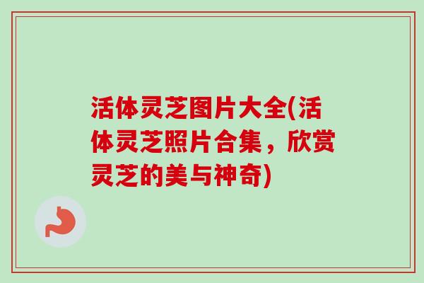 活体灵芝图片大全(活体灵芝照片合集，欣赏灵芝的美与神奇)