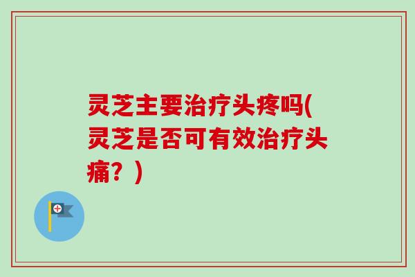 灵芝主要治疗头疼吗(灵芝是否可有效治疗头痛？)