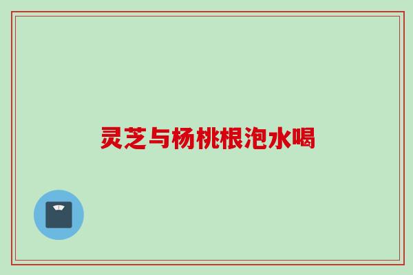 灵芝与杨桃根泡水喝