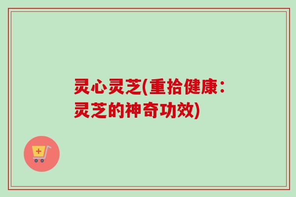 灵心灵芝(重拾健康：灵芝的神奇功效)