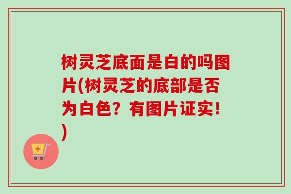 树灵芝底面是白的吗图片(树灵芝的底部是否为白色？有图片证实！)